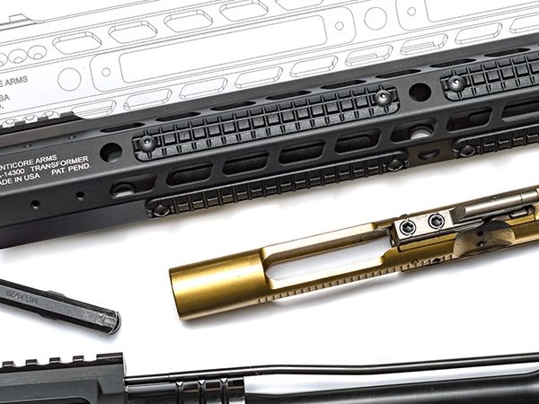 AR-15 AND VARIANTS